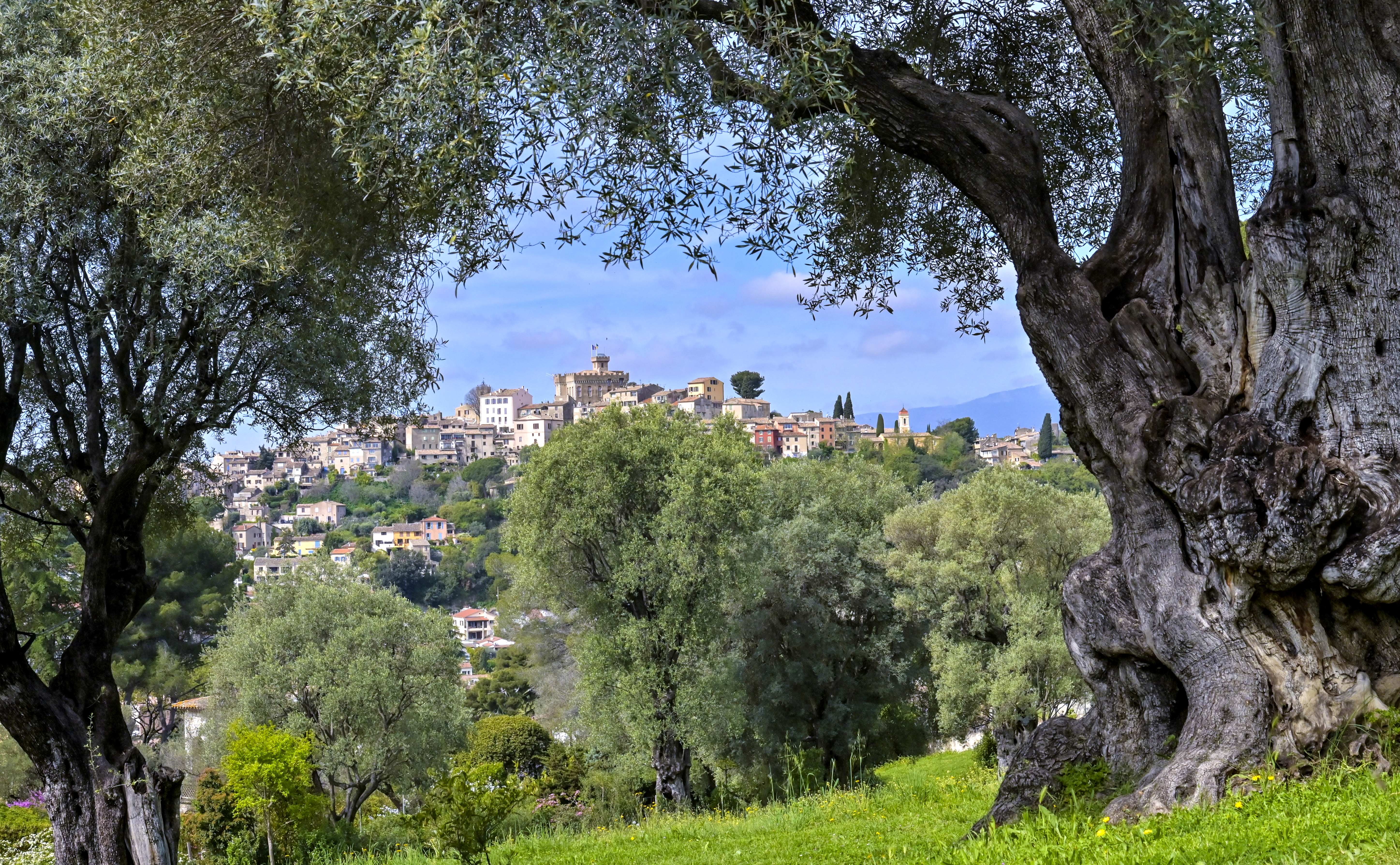 Atlas de la biodiversité de Cagnes-sur-Mer